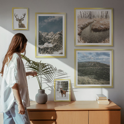 Bildergalerie-set für die wand Wilde Natur, majestätische Berge