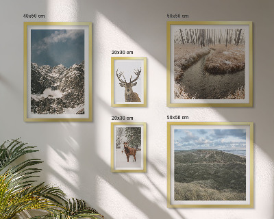 Bildergalerie-set für die wand Wilde Natur, majestätische Berge