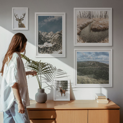 Bildergalerie-set für die wand Wilde Natur, majestätische Berge