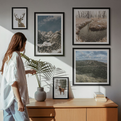 Bildergalerie-set für die wand Wilde Natur, majestätische Berge