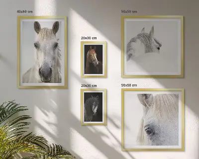 Pferdeporträts als Bilderset für das Sofa kunstvolle Wandbilder in verschiedenen Stilen
