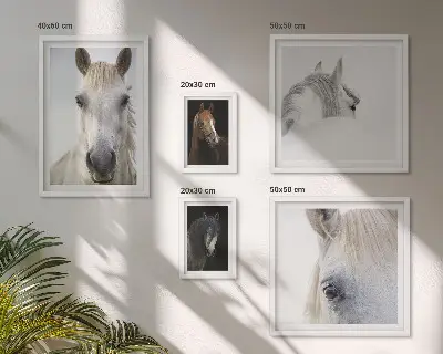Pferdeporträts als Bilderset für das Sofa kunstvolle Wandbilder in verschiedenen Stilen