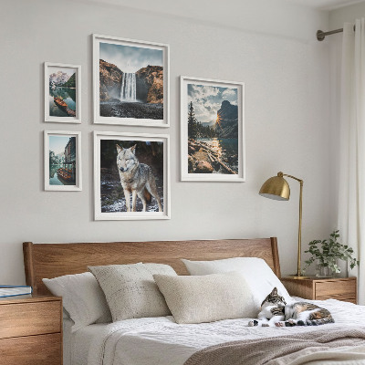 Bildergalerie-set für die wand Naturlandschaften und Tierwelt