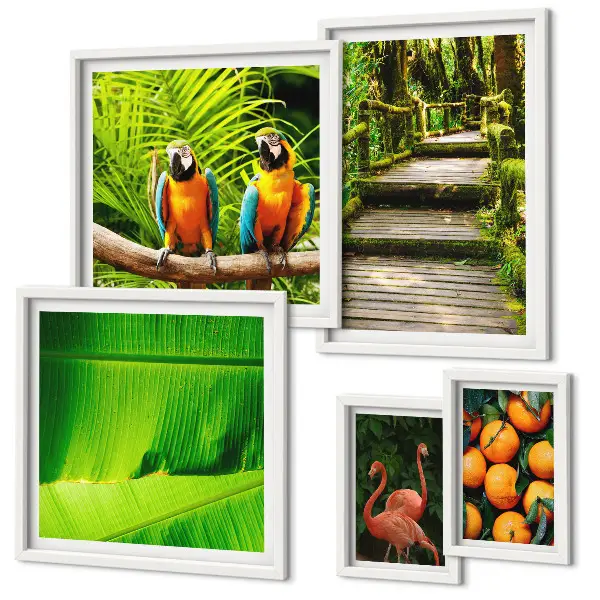 Modernes Wandbilder-Set mit Motiven tropischer Früchte