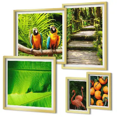 Modernes Wandbilder-Set mit Motiven tropischer Früchte