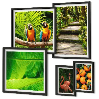 Modernes Wandbilder-Set mit Motiven tropischer Früchte