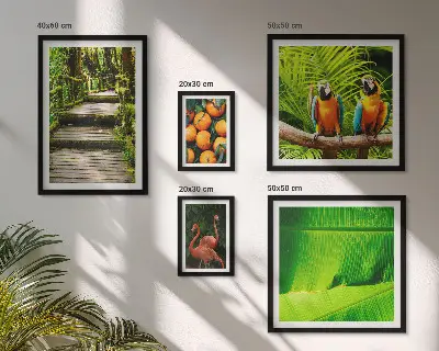 Modernes Wandbilder-Set mit Motiven tropischer Früchte
