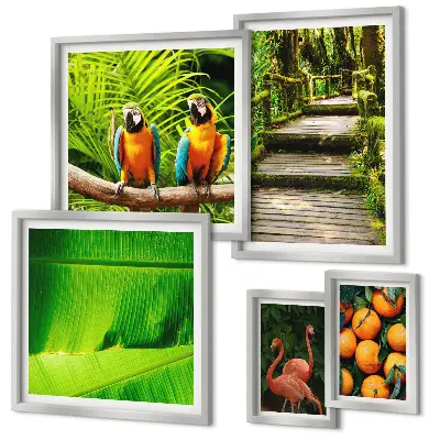 Modernes Wandbilder-Set mit Motiven tropischer Früchte
