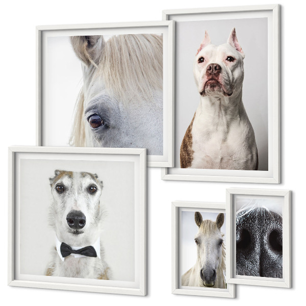Bildergalerie-set für die wand Moderne Tierporträts