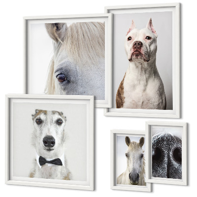 Bildergalerie-set für die wand Moderne Tierporträts