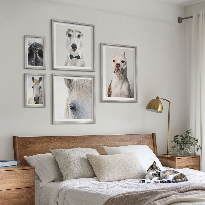Bildergalerie-set für die wand Moderne Tierporträts