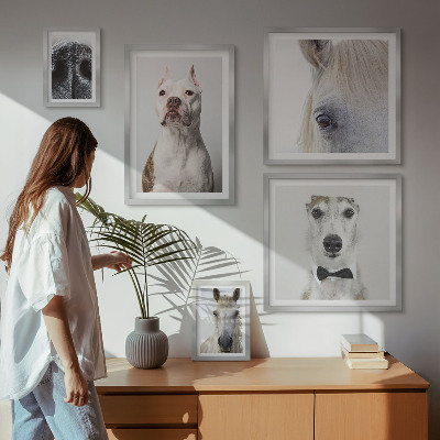 Bildergalerie-set für die wand Moderne Tierporträts