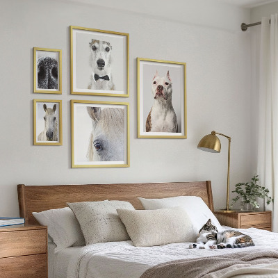 Bildergalerie-set für die wand Moderne Tierporträts