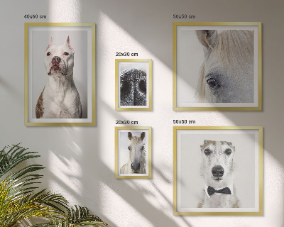 Bildergalerie-set für die wand Moderne Tierporträts
