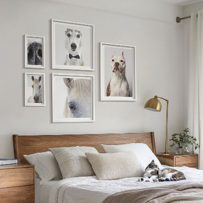Bildergalerie-set für die wand Moderne Tierporträts