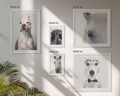 Bildergalerie-set für die wand Moderne Tierporträts