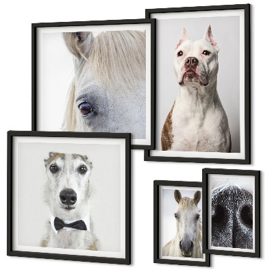 Bildergalerie-set für die wand Moderne Tierporträts