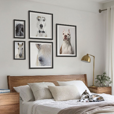 Bildergalerie-set für die wand Moderne Tierporträts