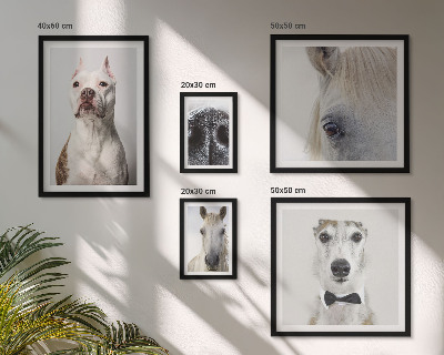 Bildergalerie-set für die wand Moderne Tierporträts