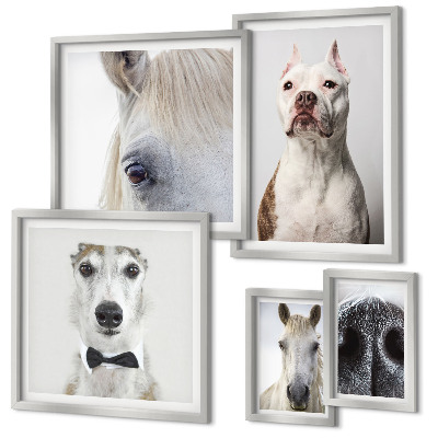 Bildergalerie-set für die wand Moderne Tierporträts