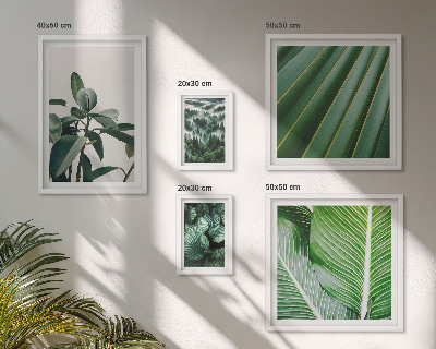 Bildergalerie-set für die wand Inspirationen durch tropische Pflanzen