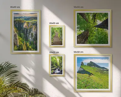 Bildergalerie-Set für die Wand mit grünen Landschaften und Naturwegen