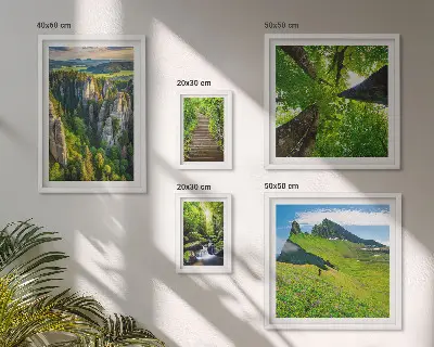 Bildergalerie-Set für die Wand mit grünen Landschaften und Naturwegen