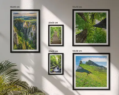 Bildergalerie-Set für die Wand mit grünen Landschaften und Naturwegen