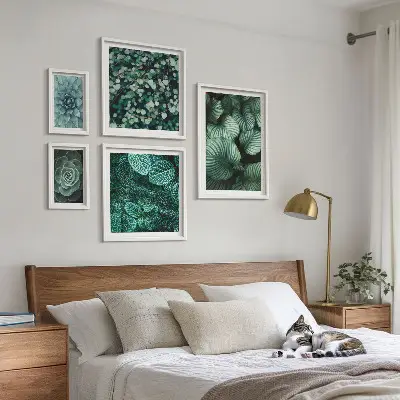 Bilderset fürs Sofa mit Pflanzen- und Sukkulenten-Motiven