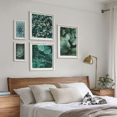 Bilderset fürs sofa Pflanzenblätter Sukkulenten Natur