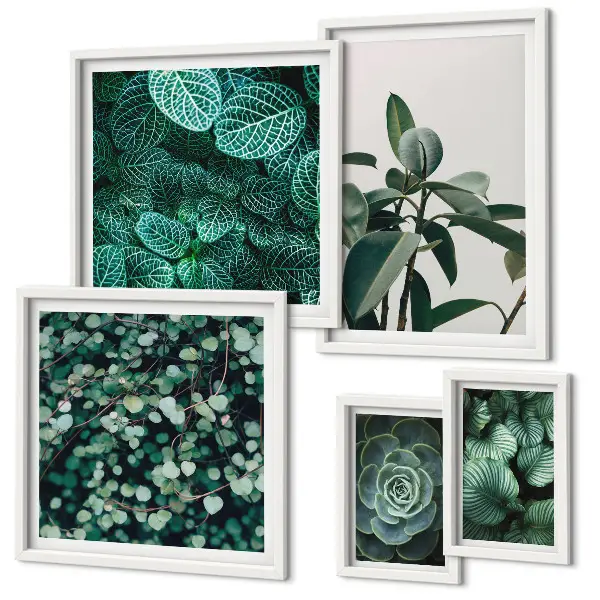 Bildergalerie-Set für die Wand mit Pflanzenmotiven und grünen Blättern