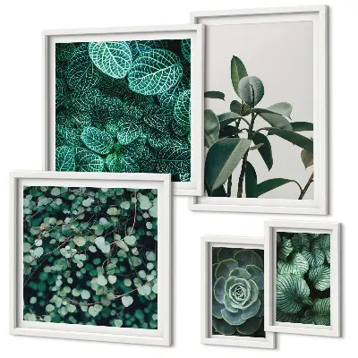 Bildergalerie-Set für die Wand mit Pflanzenmotiven und grünen Blättern
