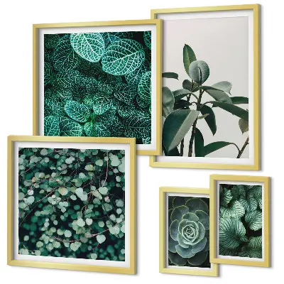 Bildergalerie-Set für die Wand mit Pflanzenmotiven und grünen Blättern