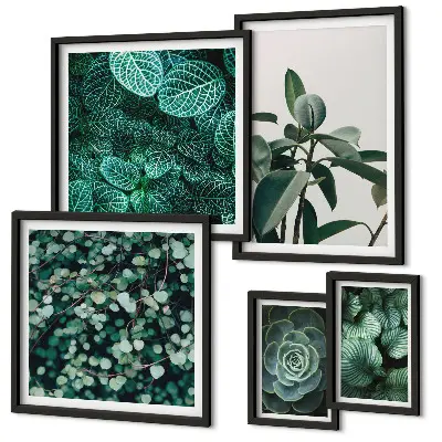 Bildergalerie-Set für die Wand mit Pflanzenmotiven und grünen Blättern