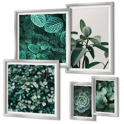 Bildergalerie-Set für die Wand mit Pflanzenmotiven und grünen Blättern