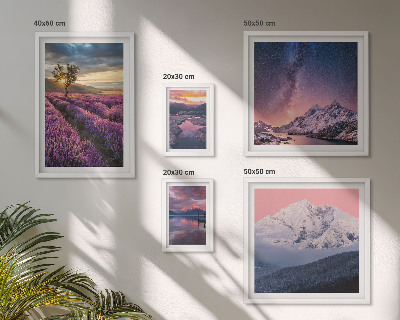 Bilderset fürs sofa Naturlandschaften, Lavendelberge
