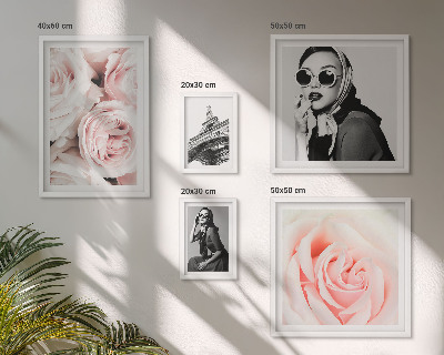 Bildergalerie-set für die wand Stilvolle Porträts von Rosen auf elegante Weise