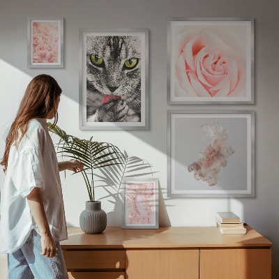 Bilderset fürs sofa Katzenrosen in zarten Farbtönen