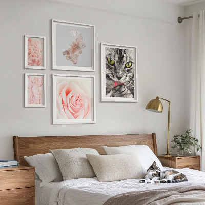 Bilderset fürs sofa Katzenrosen in zarten Farbtönen
