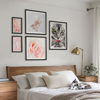 Bilderset fürs sofa Katzenrosen in zarten Farbtönen