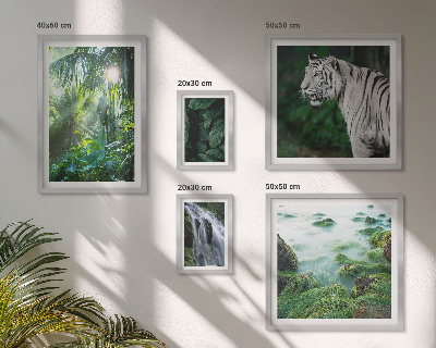 Bilderset fürs sofa Tropische Naturtiere
