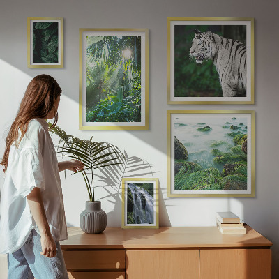 Bilderset fürs sofa Tropische Naturtiere