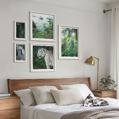 Bilderset fürs sofa Tropische Naturtiere
