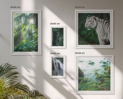 Bilderset fürs sofa Tropische Naturtiere