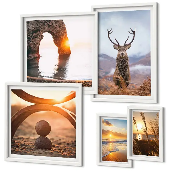 Wandbilder-Set mit harmonischen Natur- und Wildtiermotiven