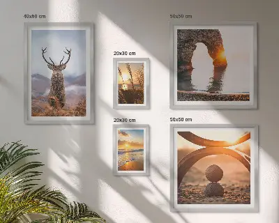 Wandbilder-Set mit harmonischen Natur- und Wildtiermotiven