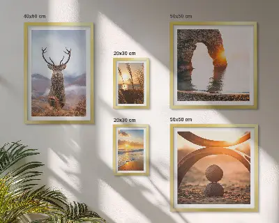 Wandbilder-Set mit harmonischen Natur- und Wildtiermotiven