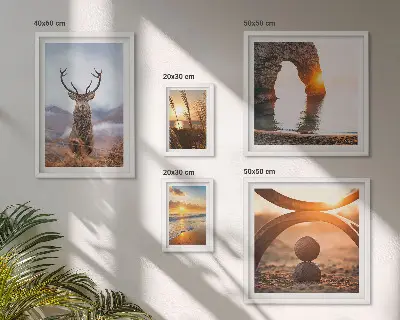 Wandbilder-Set mit harmonischen Natur- und Wildtiermotiven