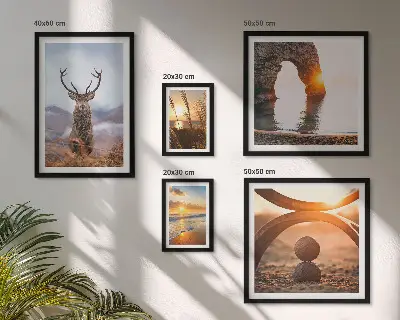 Wandbilder-Set mit harmonischen Natur- und Wildtiermotiven