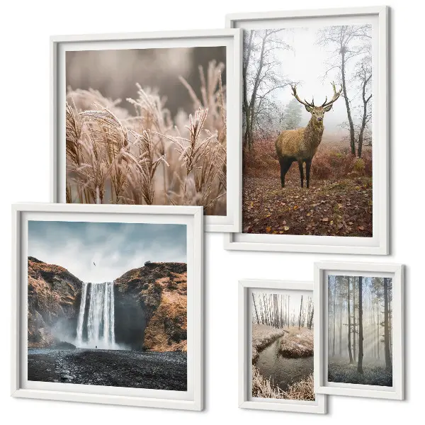 Bildergalerie-Set für die Wand mit Wildtierlandschaften